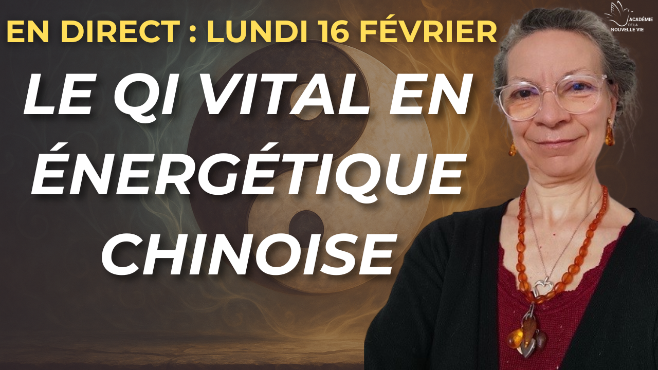 énergétique chinoise