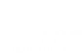 PV du 15 juillet 2019 Anne Tuffigo PV du 15 juillet 2019 Anne Tuffigo