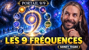 sidney-portail Sidney Tegbo - Portail 9/9